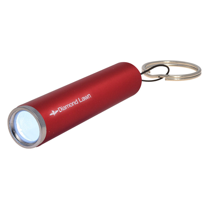 Ray Light Up Led Flashlight